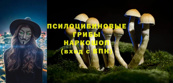 дмт Балабаново