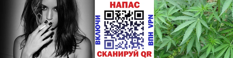 купить наркотики цена  Ногинск  Марихуана гибрид 